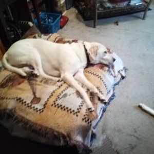 Meet your Posher, Geoffrey